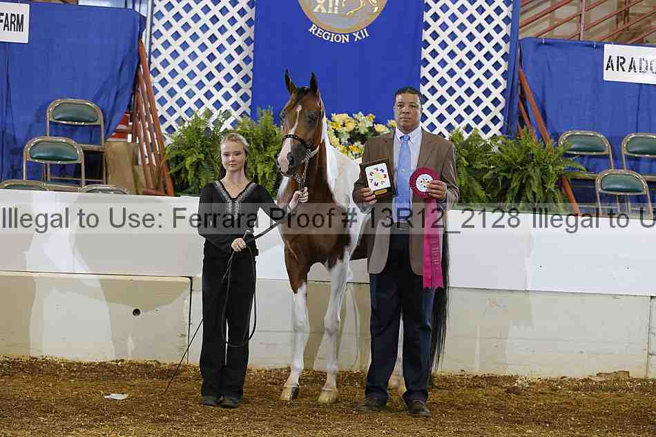 Proof 13r12_2128