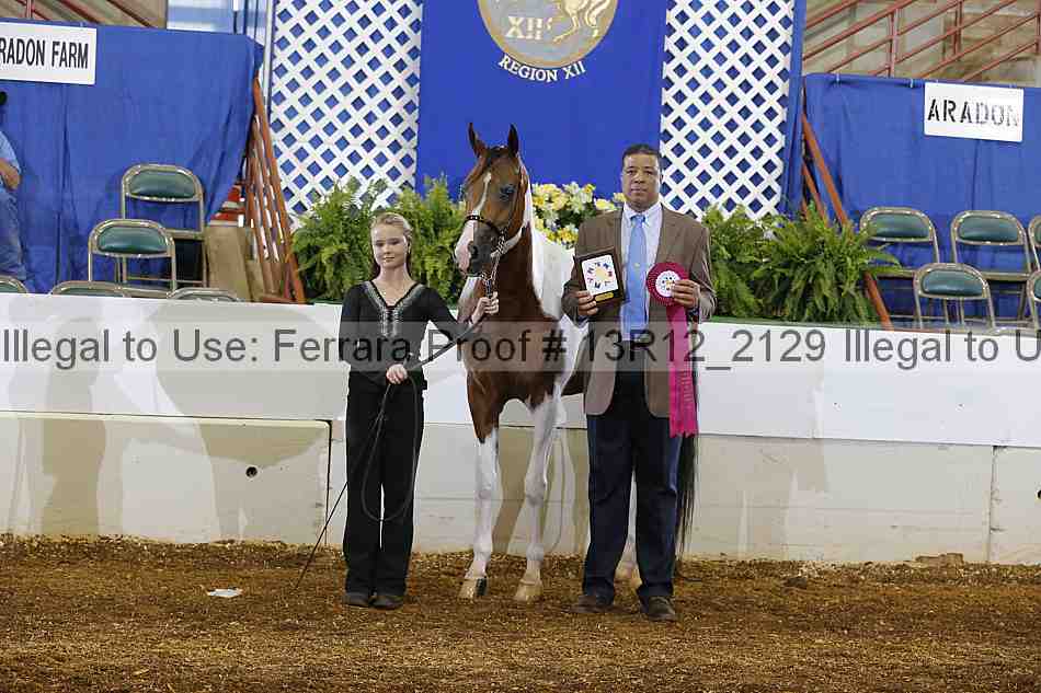 Proof 13r12_2129