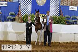 13r12_2129 proof
