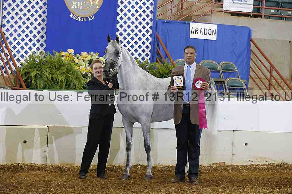 Proof 13r12_2131