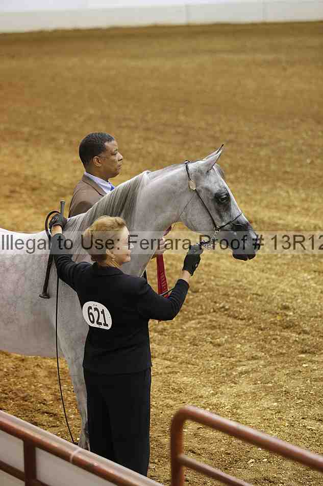 Proof 13r12_2132