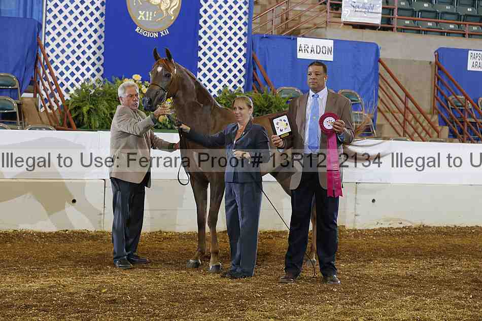 Proof 13r12_2134