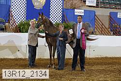 13r12_2134 proof