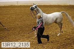 13r12_2135 proof