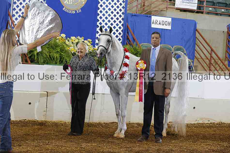Proof 13r12_2136