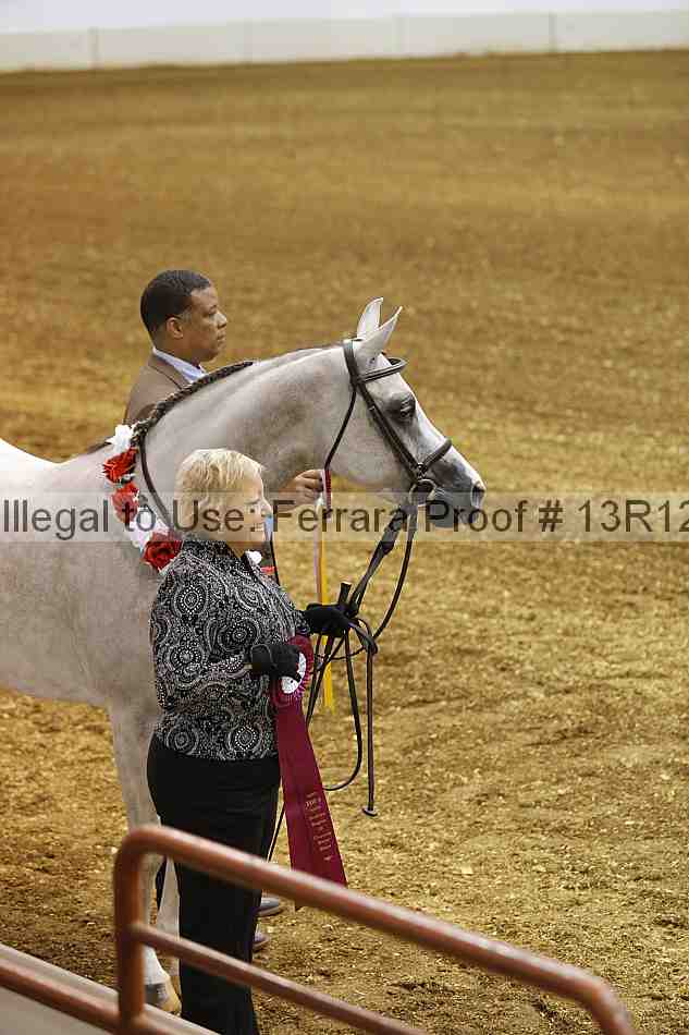 Proof 13r12_2137