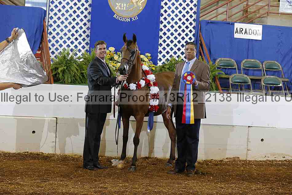 Proof 13r12_2138