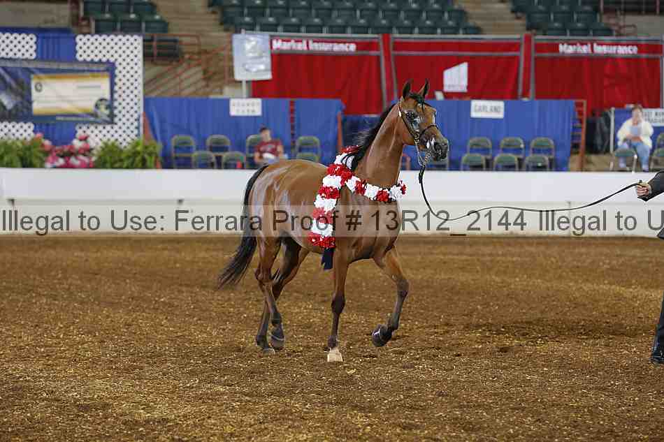 Proof 13r12_2144