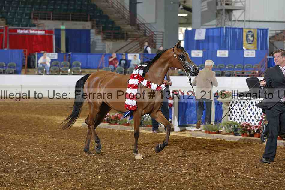 Proof 13r12_2145