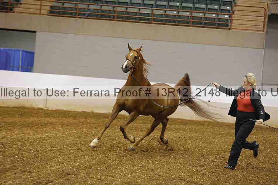 Proof 13r12_2148