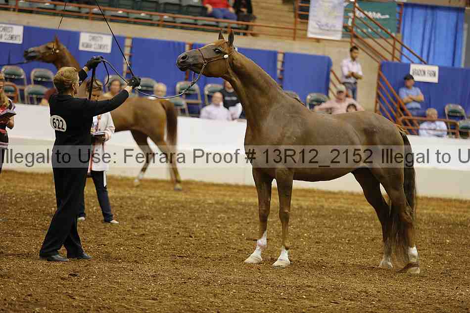 Proof 13r12_2152