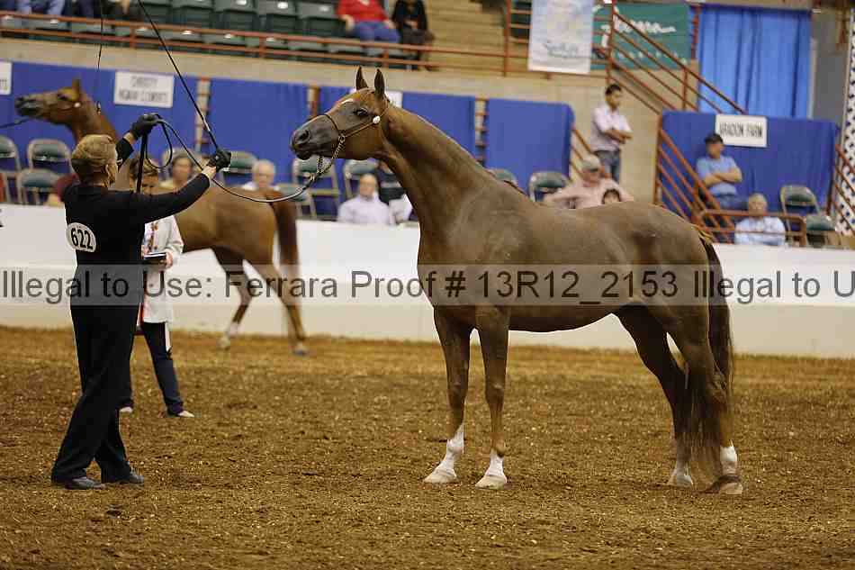 Proof 13r12_2153