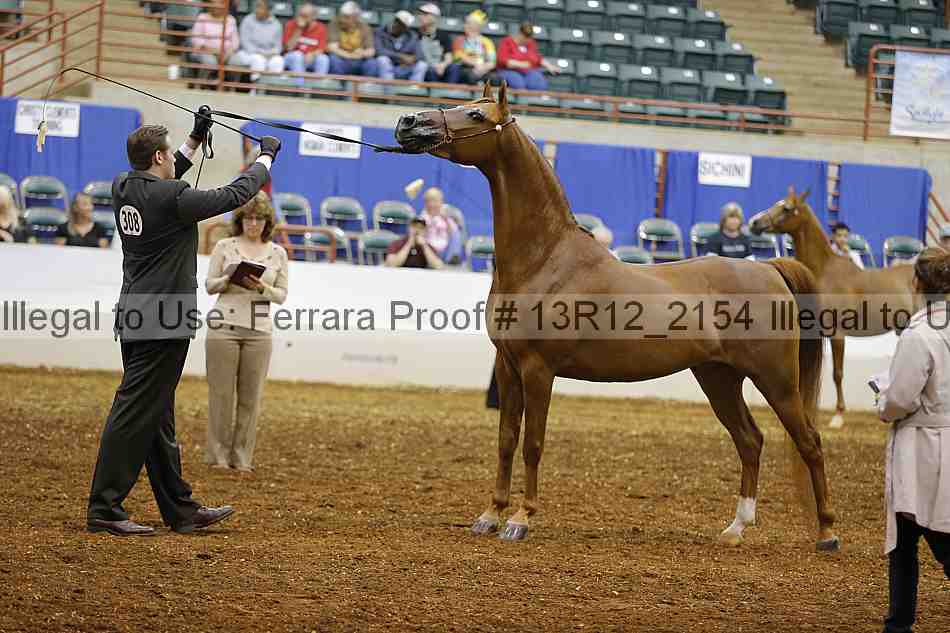 Proof 13r12_2154
