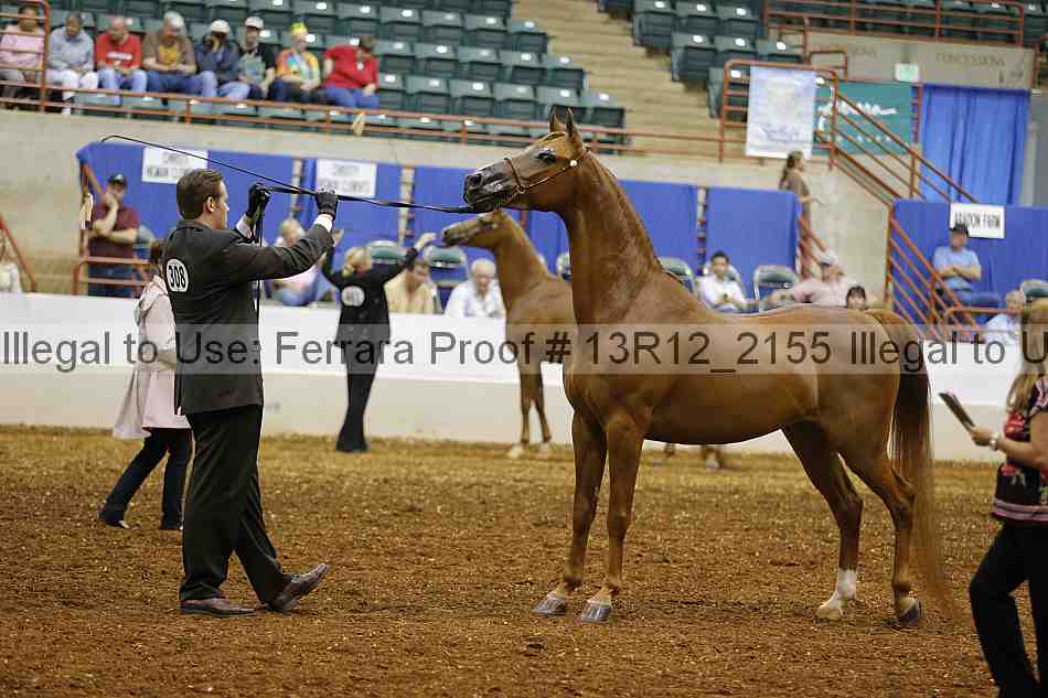 Proof 13r12_2155