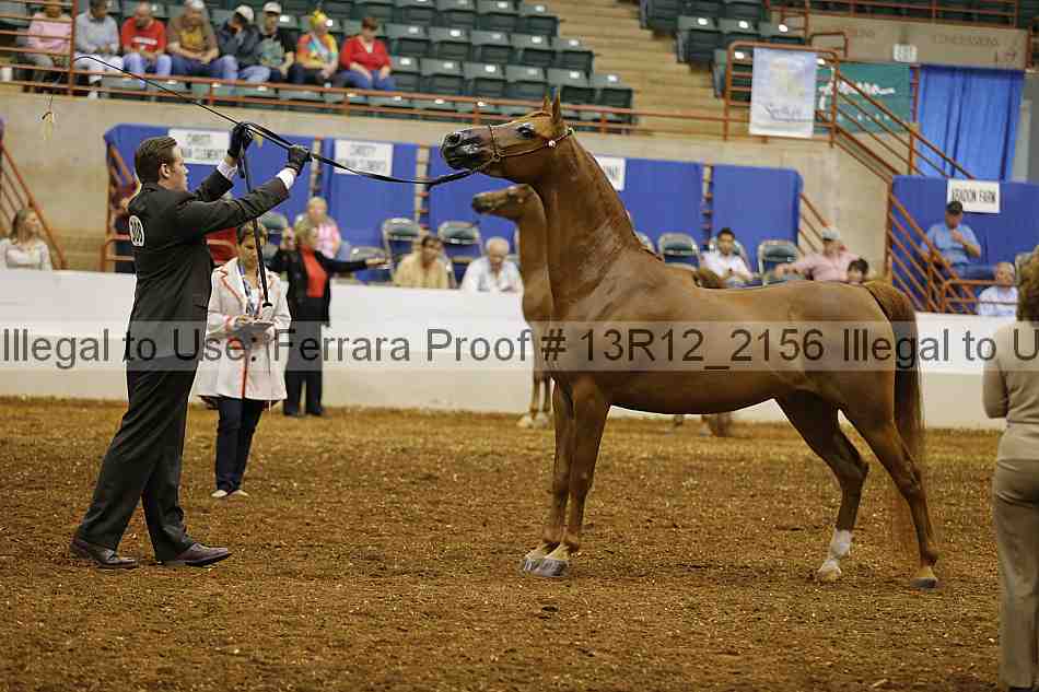 Proof 13r12_2156