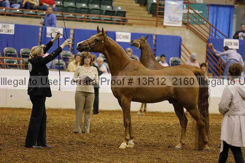 Proof 13r12_2160