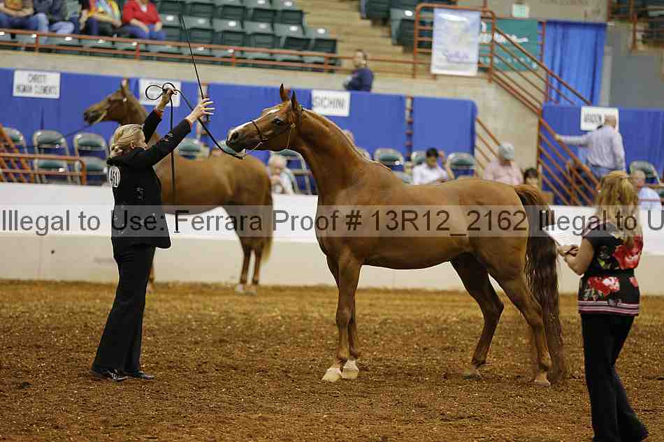 Proof 13r12_2162