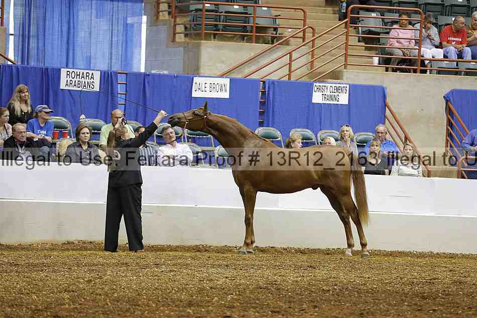Proof 13r12_2163