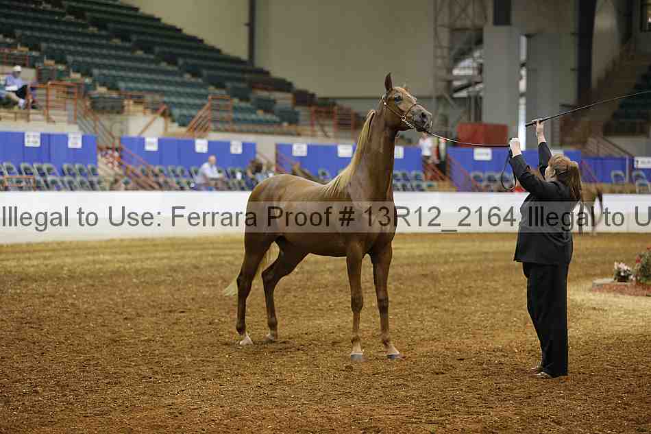 Proof 13r12_2164