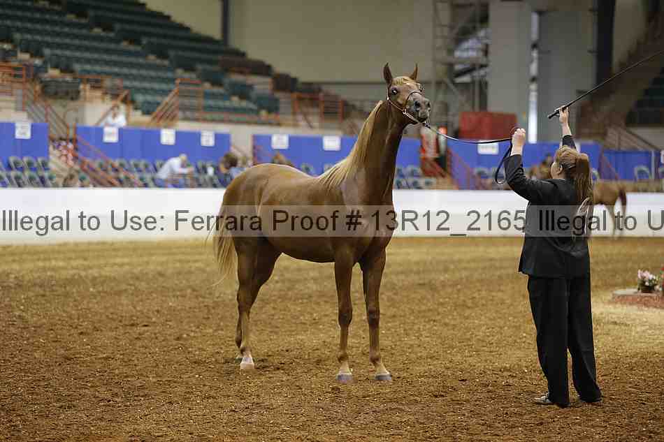 Proof 13r12_2165