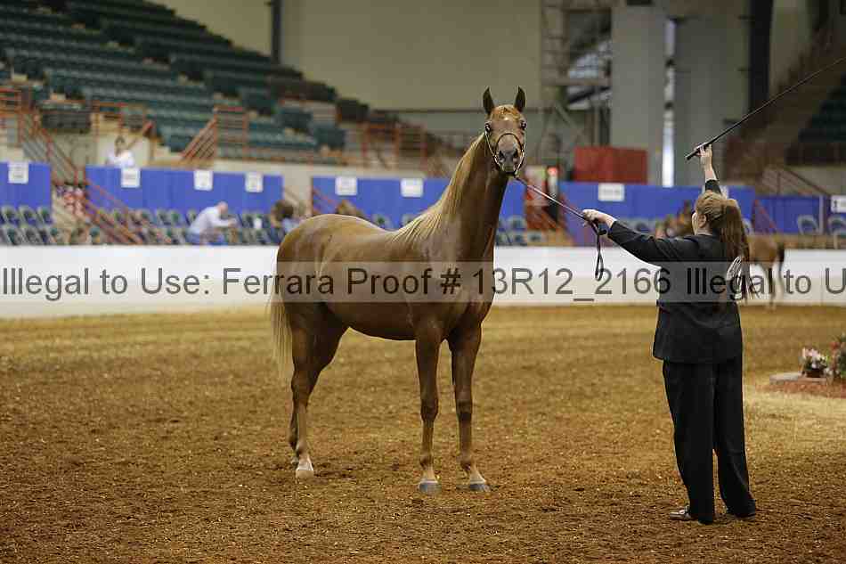 Proof 13r12_2166