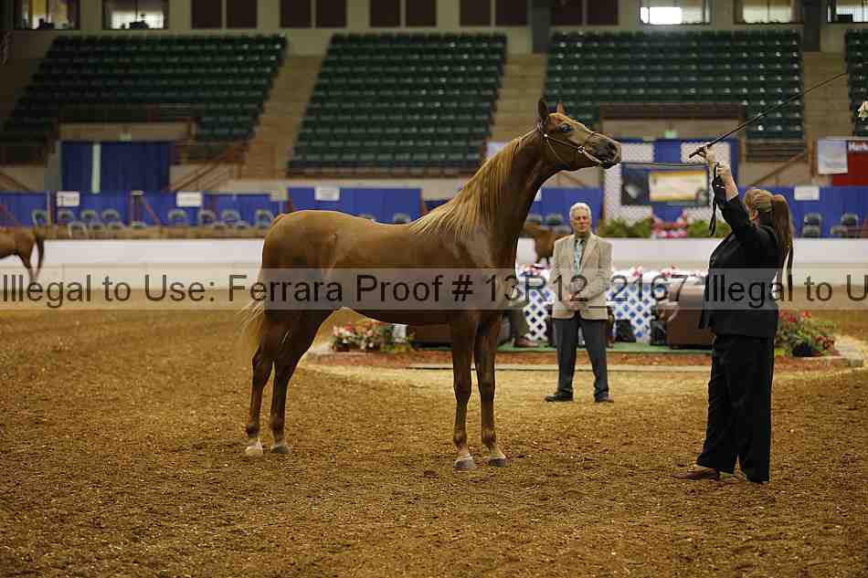 Proof 13r12_2167