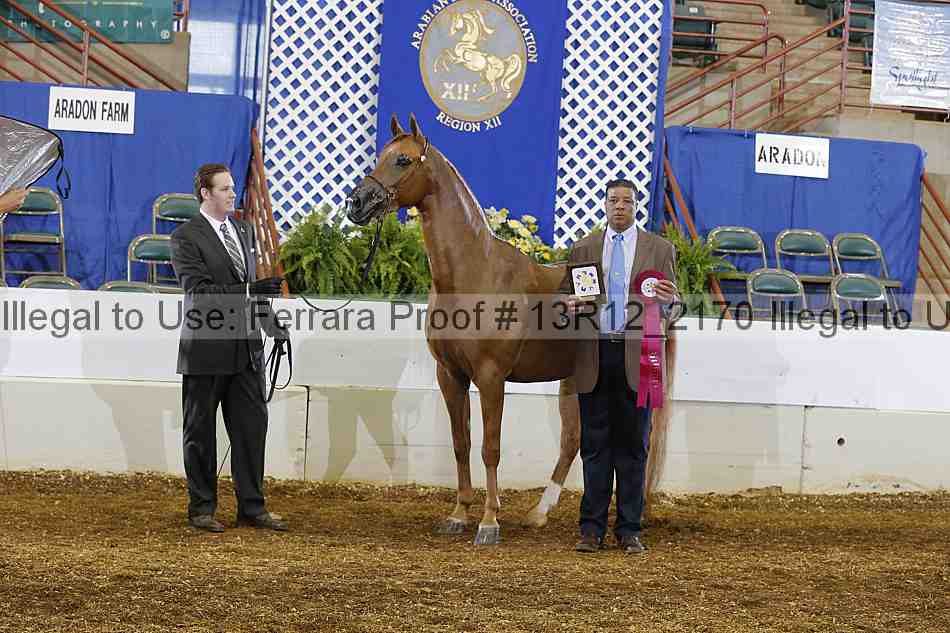 Proof 13r12_2170