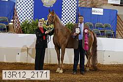 13r12_2171 proof