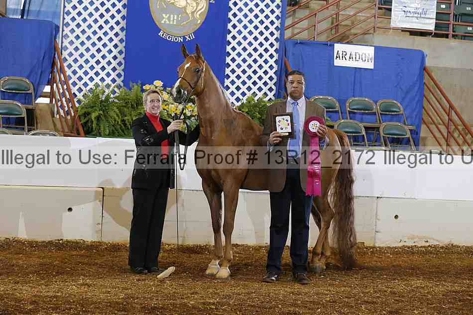 Proof 13r12_2172