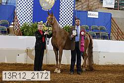 13r12_2172 proof