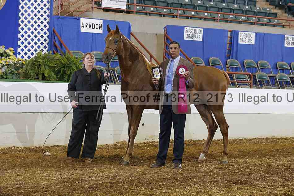 Proof 13r12_2173
