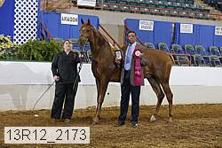 13r12_2173 proof