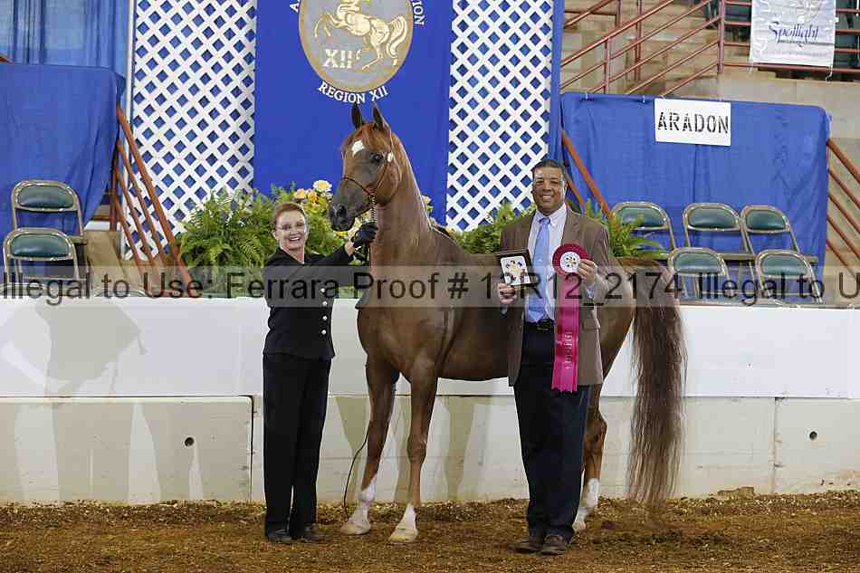 Proof 13r12_2174