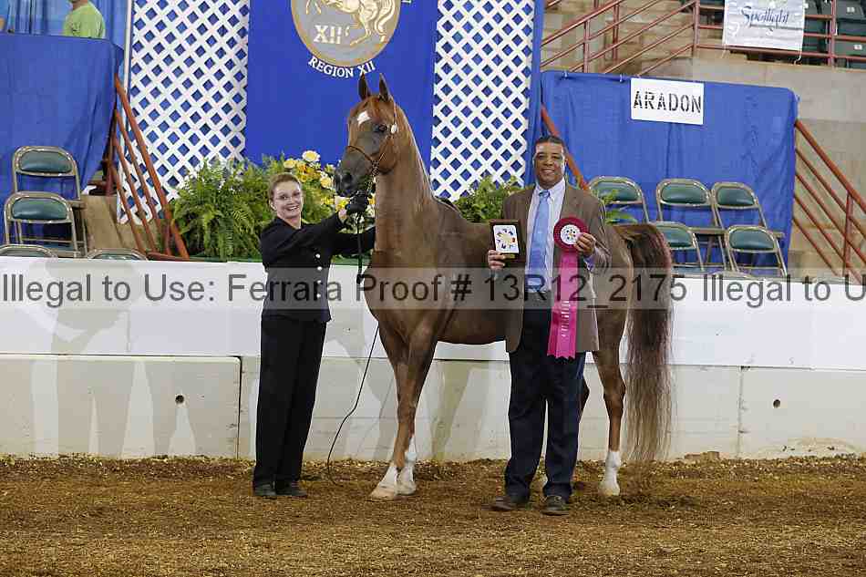 Proof 13r12_2175