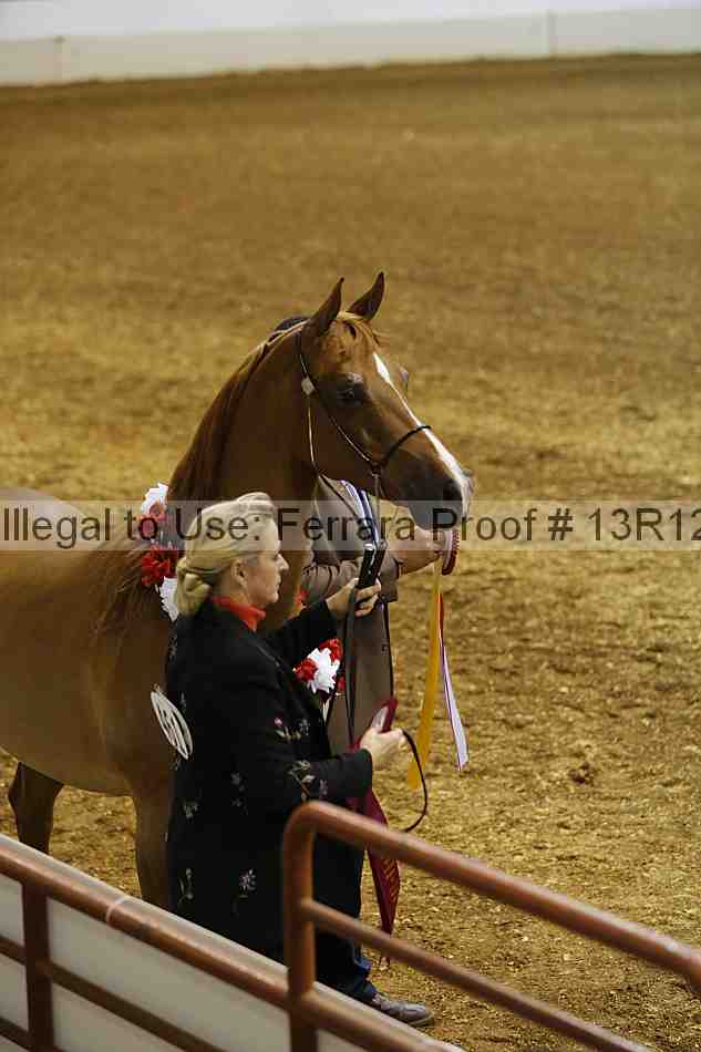 Proof 13r12_2177