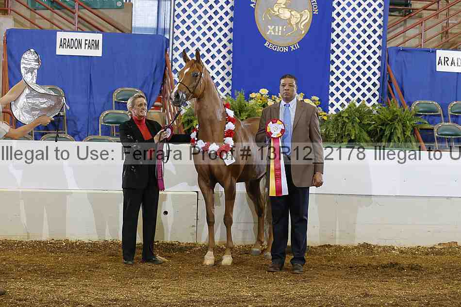 Proof 13r12_2178