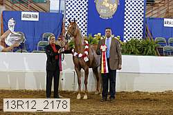 13r12_2178 proof