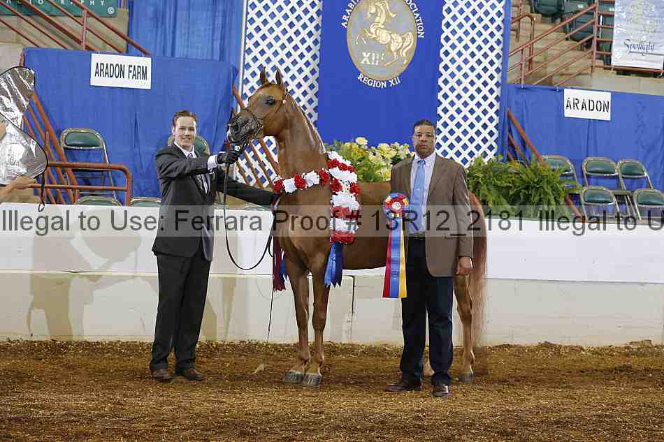 Proof 13r12_2181