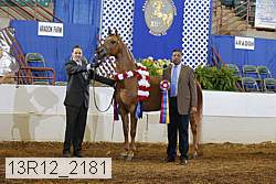 13r12_2181 proof