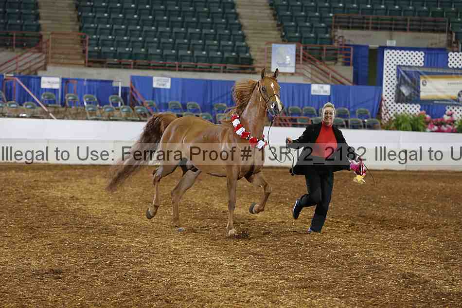 Proof 13r12_2182