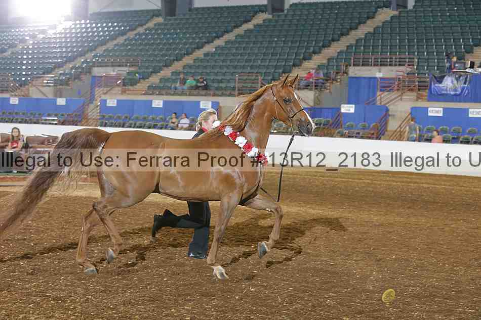 Proof 13r12_2183