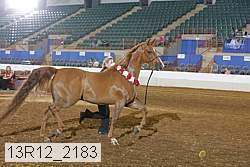 13r12_2183 proof