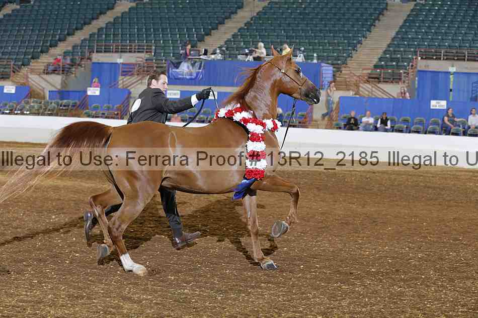 Proof 13r12_2185
