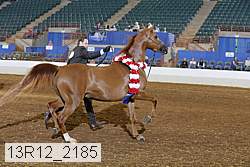 13r12_2185 proof