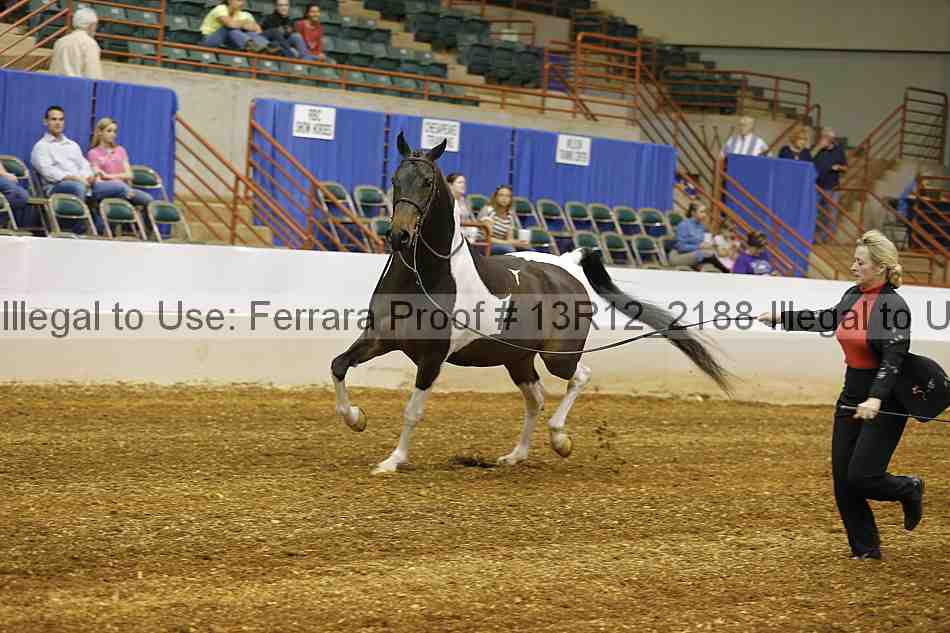 Proof 13r12_2188
