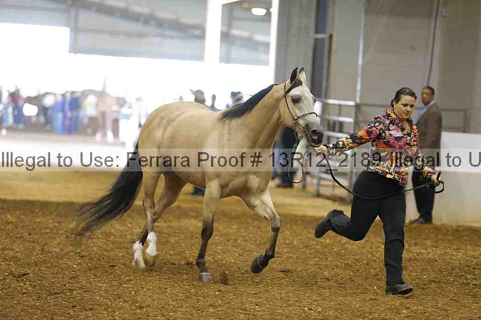 Proof 13r12_2189