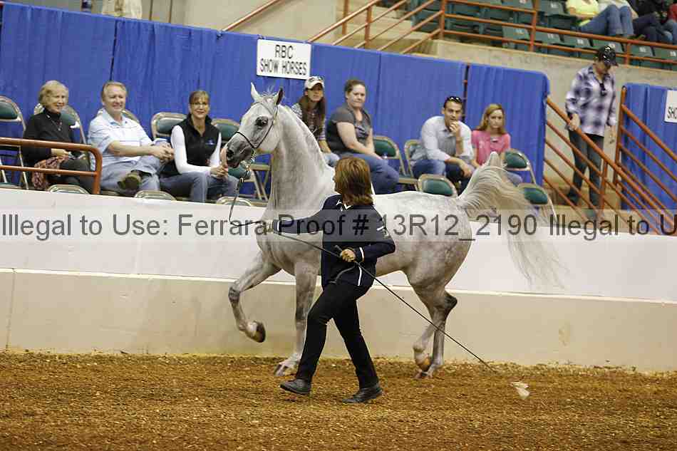 Proof 13r12_2190
