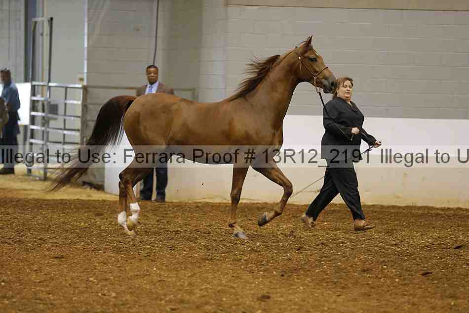 Proof 13r12_2191