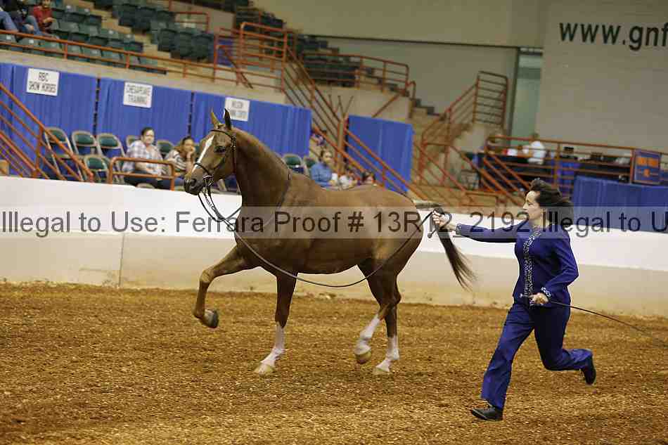 Proof 13r12_2192
