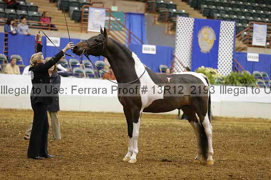 Proof 13r12_2193